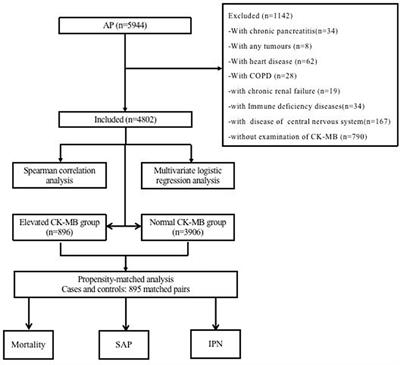 Elevated CK-MB levels are associated with adverse clinical outcomes in acute pancreatitis: a propensity score-matched study